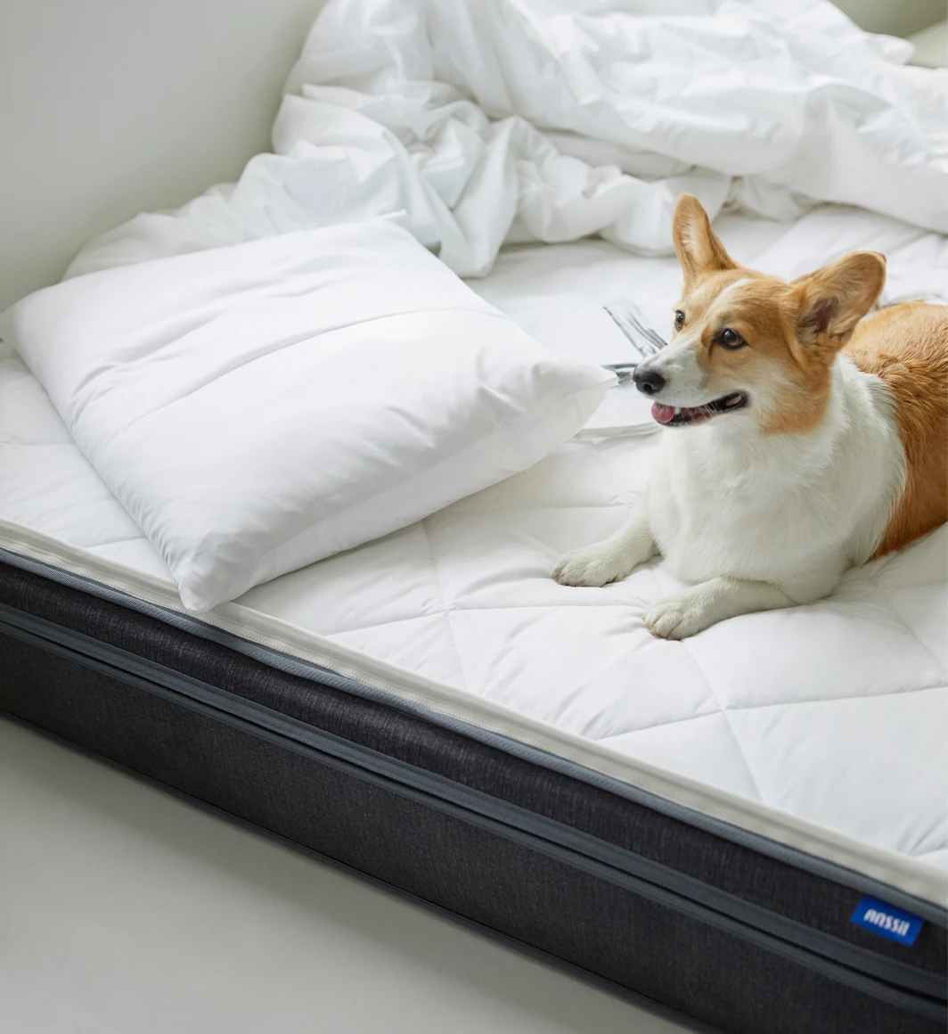 ANSSil Mattress