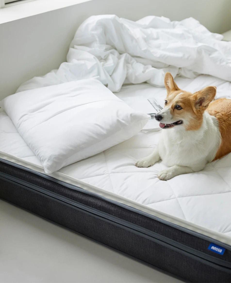 ANSSil Mattress