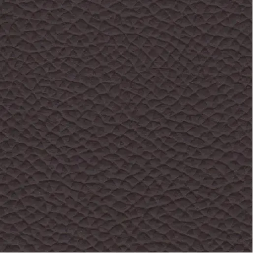 Normal Leather CC #Brown