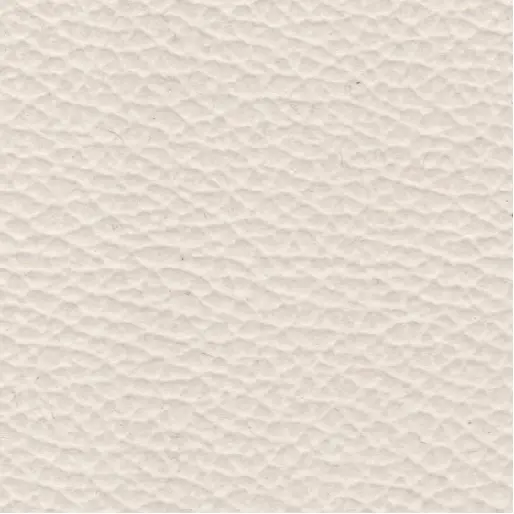 Normal Leather CC #White